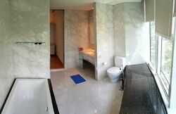 St. Regis Residences (D10), Apartment #453411371